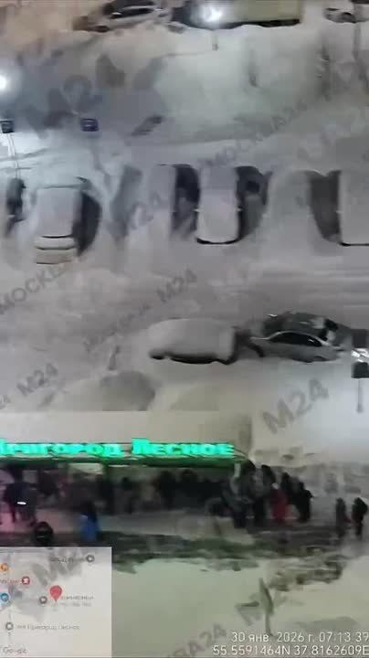 � ���� ������� ����� �����������