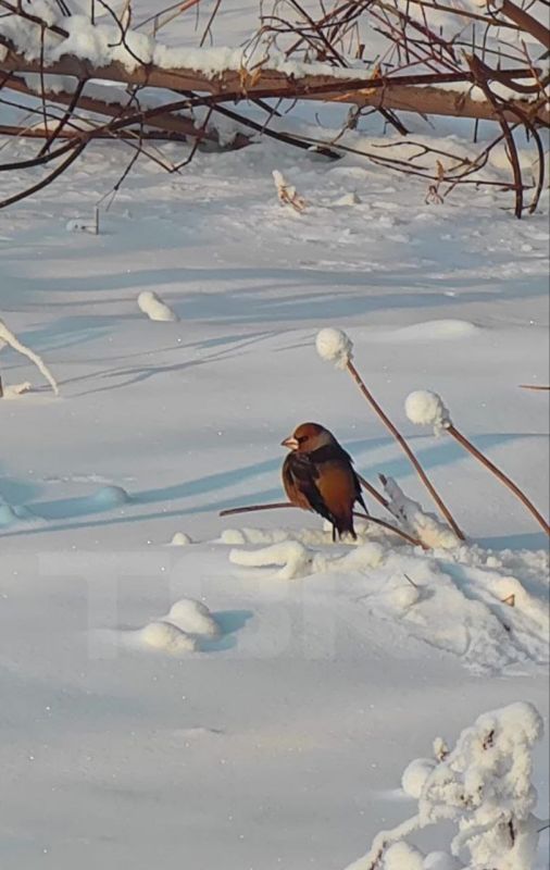 ���������� � ������ ���� � ������