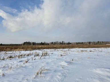 ������ ��� ���: ����� ����� ���������� �������� ����������� ������ �� ������� ������������ ������