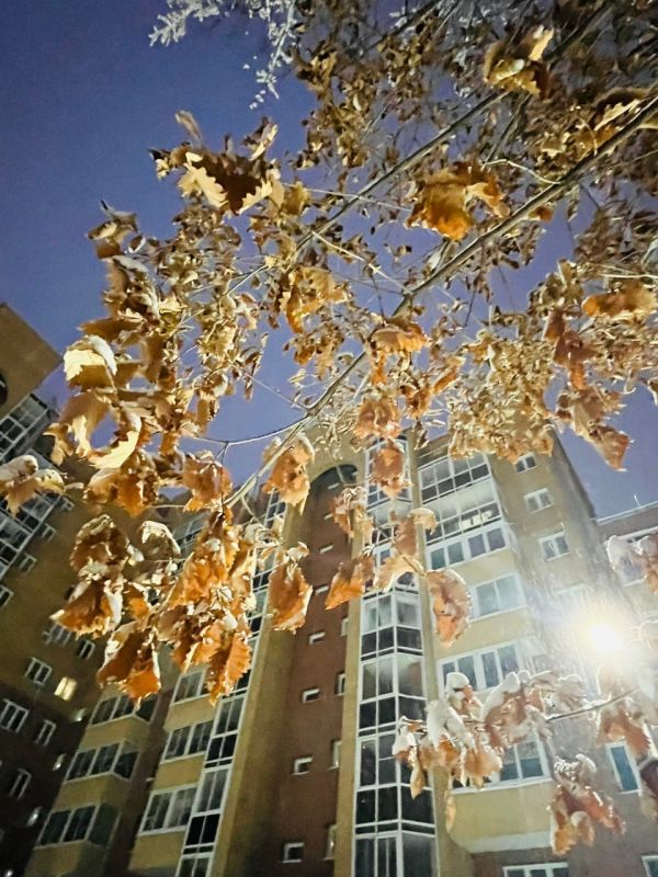 ������ � ������� ������������ ��� �� ������ ����! ���� � ����������� � �������� ���� ����� ����� ����������