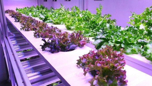 ����� � �������� �������� �����, ��� �� ������: ������� ���� ������