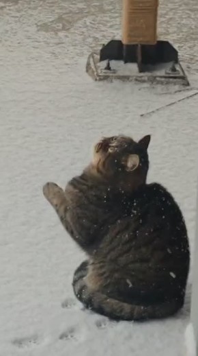 Доброе субботнее утро. ТВК