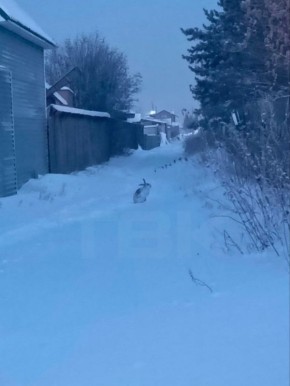 ������ ��������� �� ���� ���