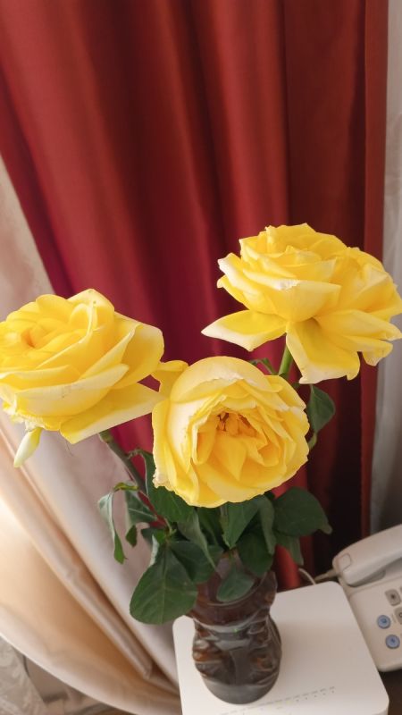 66-� ���� ��������: �������� ���� � ����� �������