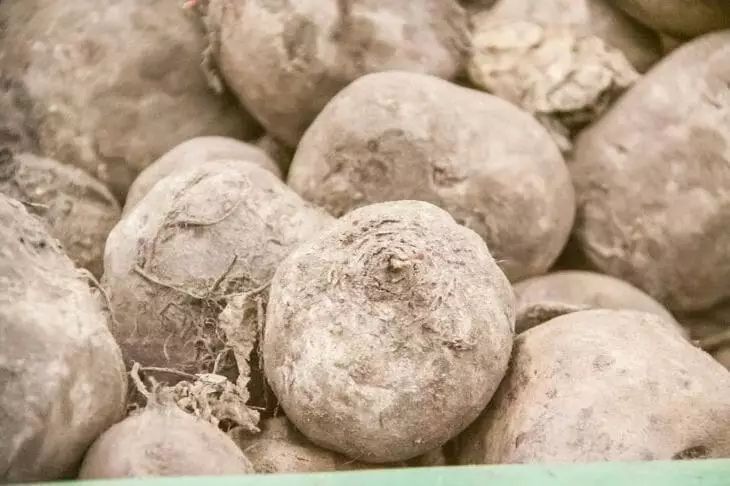 ��������� ������� ������� � ������: ��� ��������� ���� � ���� ��������� � ������� �� �������