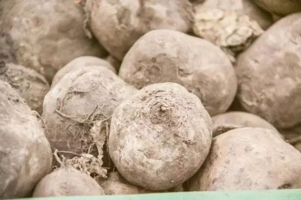 ��������� ������� ������� � ������: ��� ��������� ���� � ���� ��������� � ������� �� �������