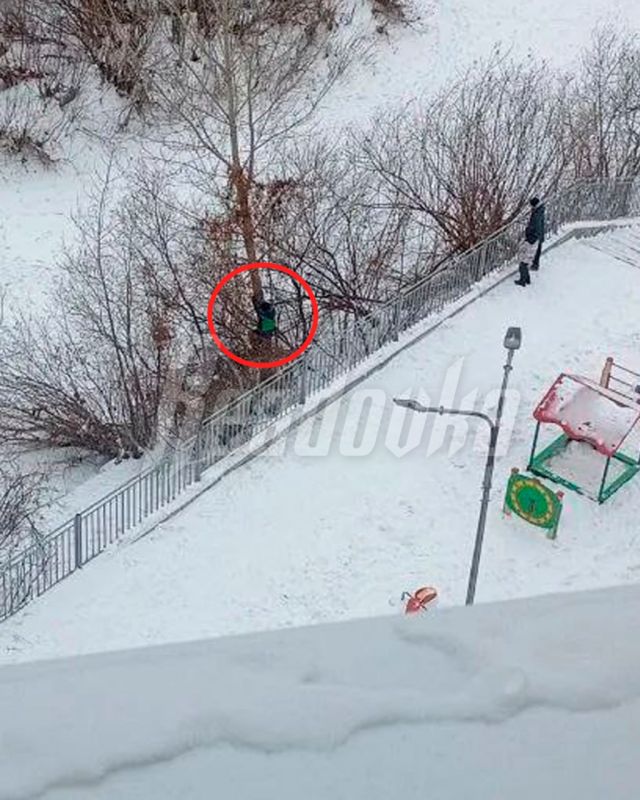 ����� �������� �� ���� �����, ������� �� ������������� ���� �������� ������� �� ������