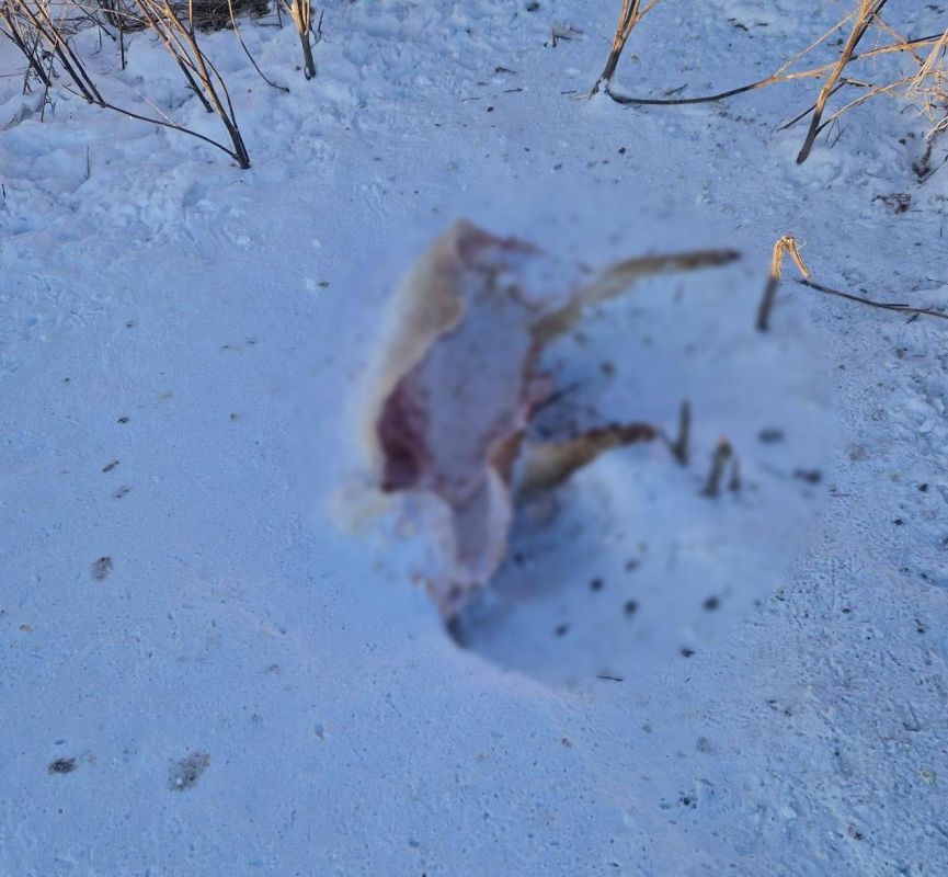 ���� �������� ��������� ����������� ����� ������ ���������� � ���������