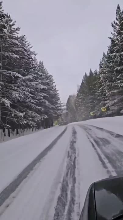 ��� ����� ������� �� �������