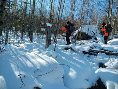 ��������� ��������� � ��������� ������� ����� ����������