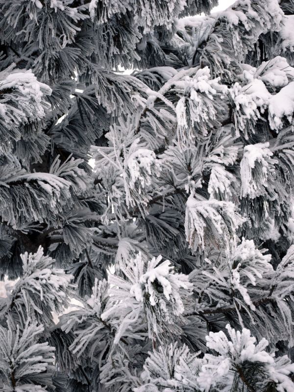 ������� �����. ����: ����� ������������