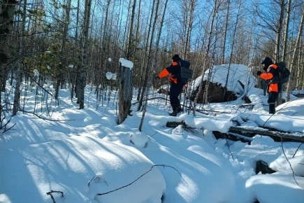 ������������ ��������� ��������� � ������ � 2026 ���� ������� ����� ����������