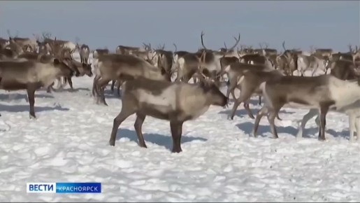 �� ������� ������������ ���� ��������� �� ��������� ��� ���������� ��������� �������� �������