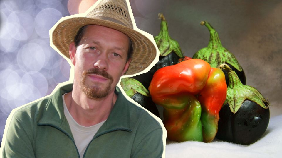 ����� � ��������� ���� �������� ��� ����������: ����� ������ �������� �� ��� ��������