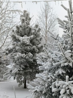 ����������� ������� ����: �������� � � ������!