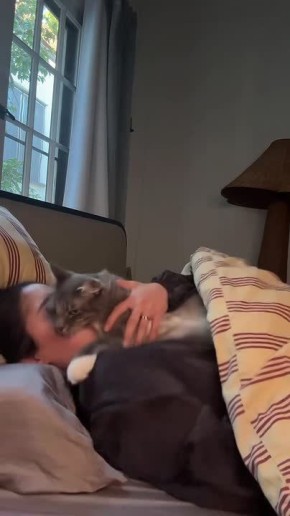 Доброе утро!. И снова этот пушистый будильник на посту