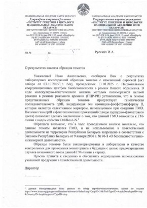 ��������� ����������� � ���������� ��������: ��� ������� ����������?