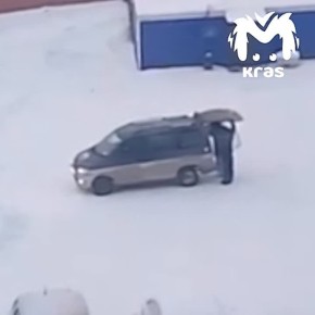 Жители Солонцов показали, как работают отловщики собак после новостей о стаях, загоняющих детей на деревья