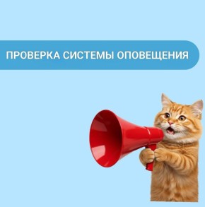 Сегодня и завтра пройдёт проверка системы оповещения