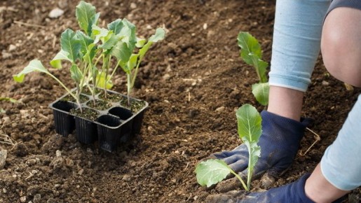 ��� ��������� ������� ������� ������� �������: �������� �������� � ������