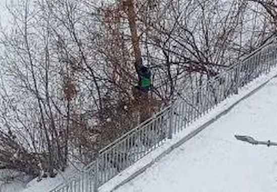 ���� ����� ������ �� �������� � ������ �������