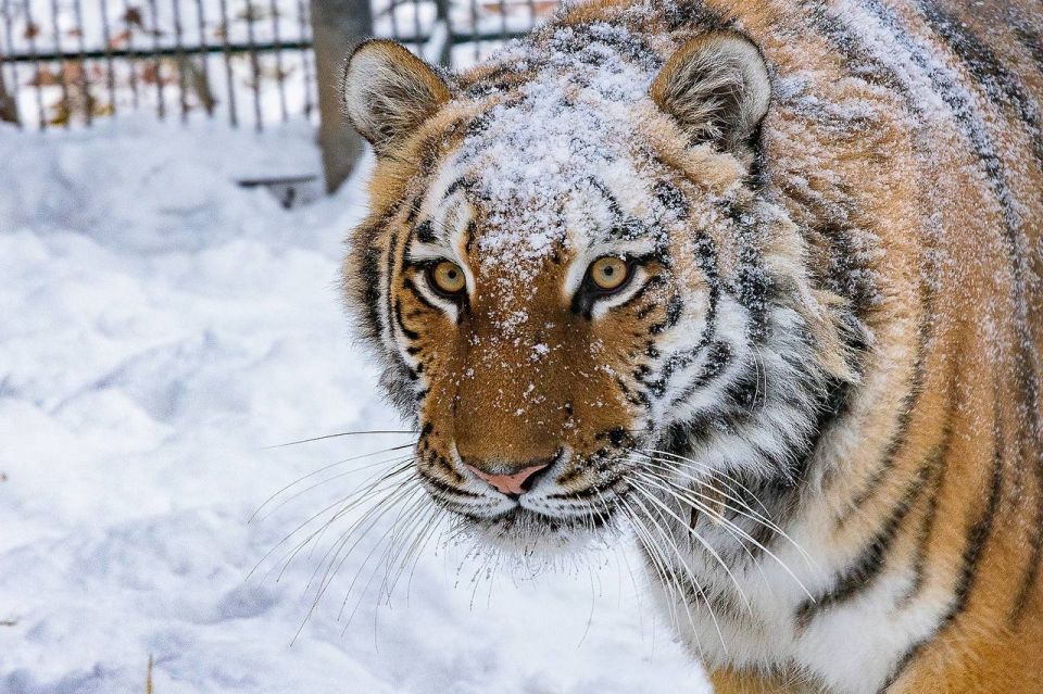 ����� ����� ��������� ������ �������� ��������� � ���������� ����� ���������