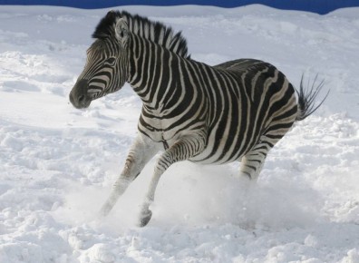 ��������� � ������ ������� ������ ������� ��� �� ������������, ��� ��� ����� �� "����� �����"!