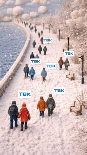 У Telegram-канала ТВК уже почти 60 000 подписчиков! Дорожим и ценим каждого из вас