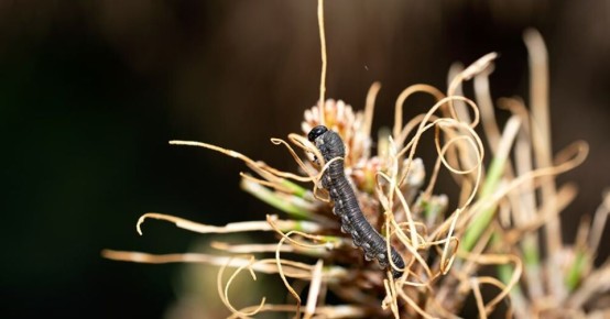 ��� �������� ������� �������� � ��� � ���� ��������