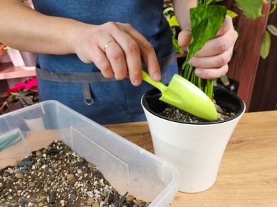 ������ �������: ��������� � ��������� �������� ��� ������