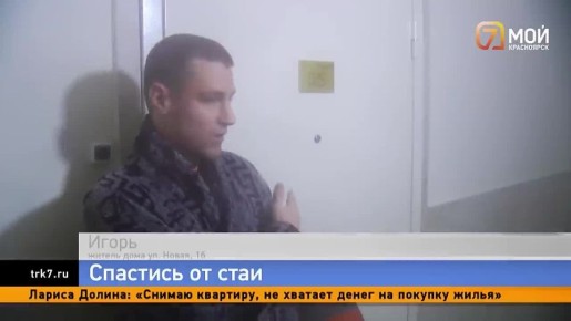 ������ ������� ������ �� ������