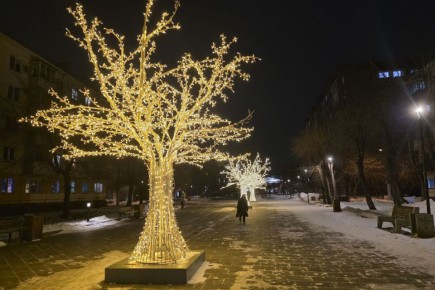Прощаемся до следующего Нового года!