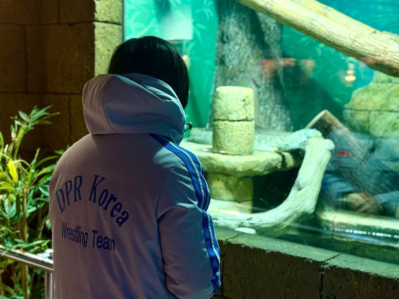 А раньше мы видели белого медведя только по телевизору! А раньше мы видели белого медведя только по телевизору!