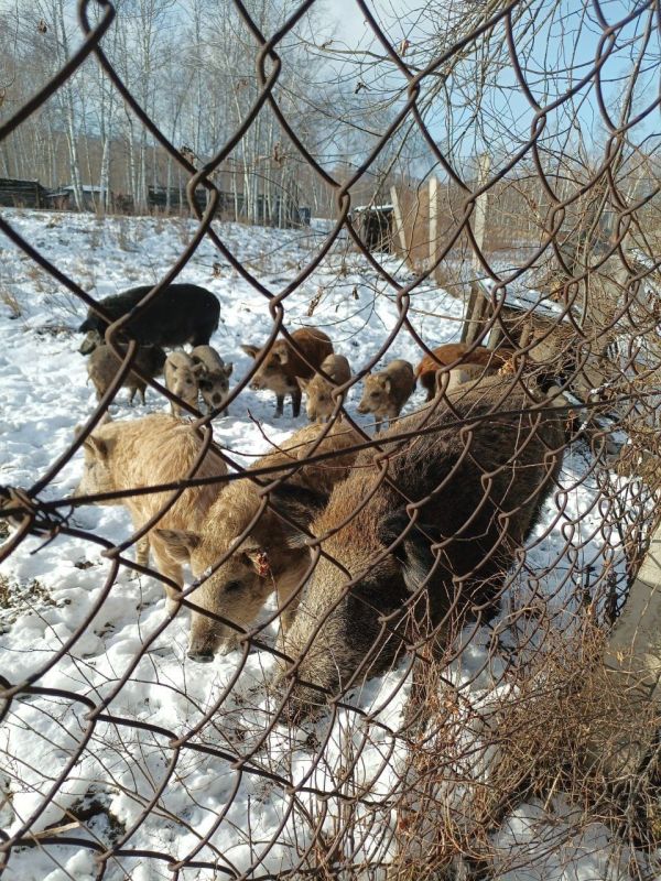 � �������� ������ ���� ������� ���������� � ������ �������