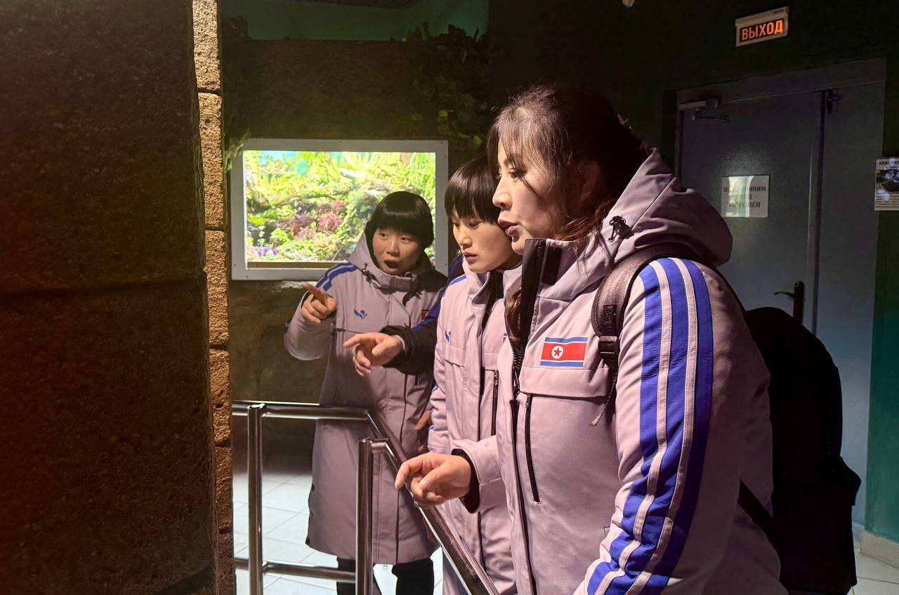 А раньше мы видели белого медведя только по телевизору! А раньше мы видели белого медведя только по телевизору!