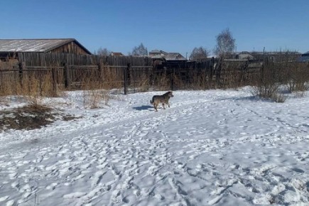 ��������� ����������� ���� �� ���������: ������� ������ �����, ������� �������� � ������� �������, �������� 30 ����� ������ ������