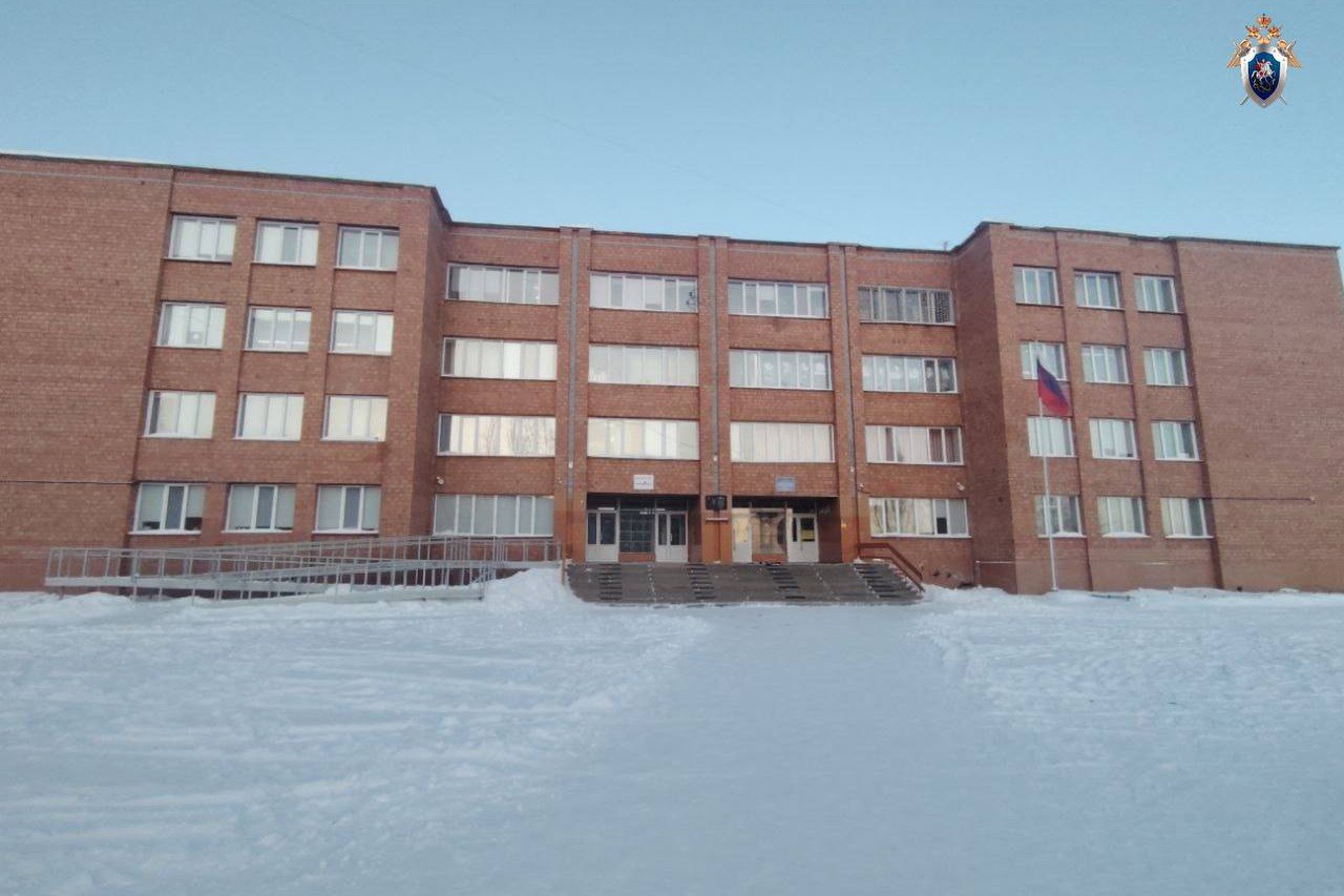 Школьница из Кодинска могла напасть на сверстницу из-за травли