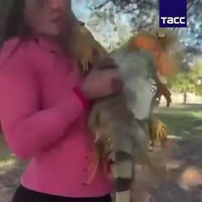 ����� ������ ������� ����� ��-�� ���������� ������� �� ���� ���� ����� � ������� �� �������