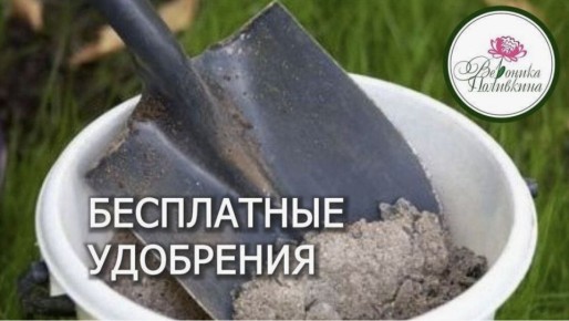 ��������� ��������� ��� ������ �������: 10 ����������� �������