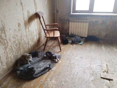 ������ ������ �� ����� � ������������ ������ ����������� �� ���� ��������� � ���������� ���������