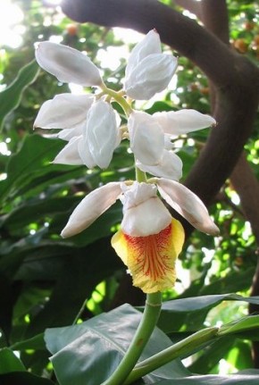 ��������: �� ������� ����������� �� ����������� ������