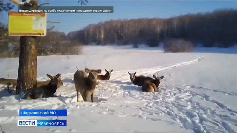 ������ ������������ ������ �� ����� �������� �������� ��������� �������