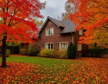 ���������� ������� ��������� ��� ����: ���������� ������ � ���������� � ����