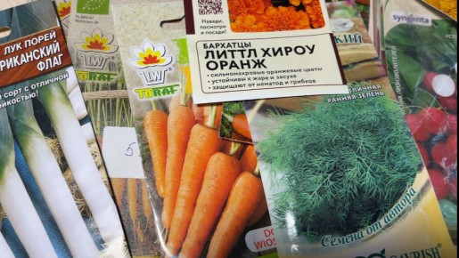 Когда лучше запасать семена на следующий сезон, чтобы всхожесть была наилучшей