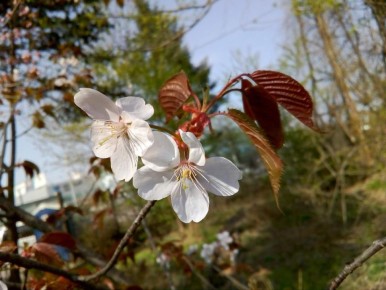 �������� ����������: ��� ��������� ���������� ����� ��� �������� ������