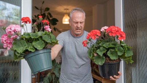 ����� ��������� �� ������ � ��������� ��������� �����������