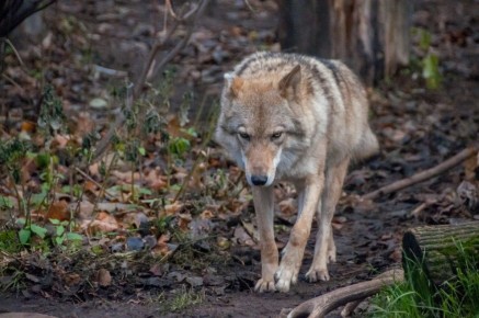 �������� ������� ������ �� ������ ������ � ����������� ���� ����