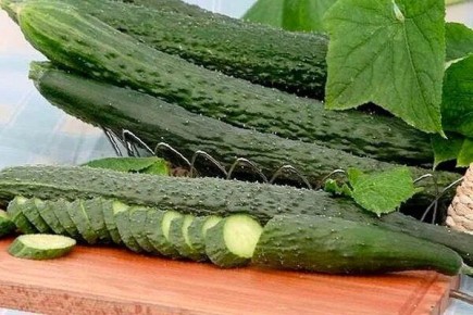 ��� ����� ����� � ������� ������� ��������� ���������