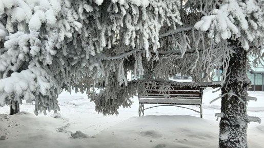 #��������������� #���������