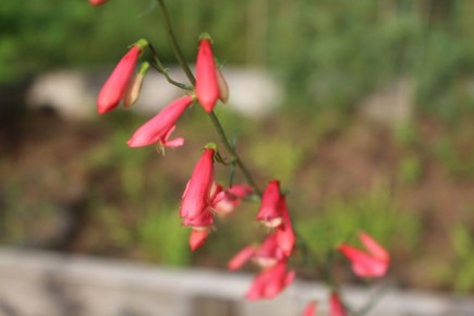 �� ����, � ����� ���������� � ������ ����� ���������� �������� ���